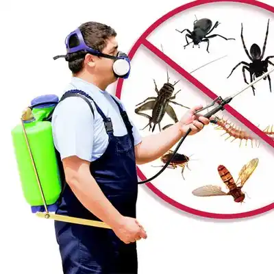 pest control Mount Sterling